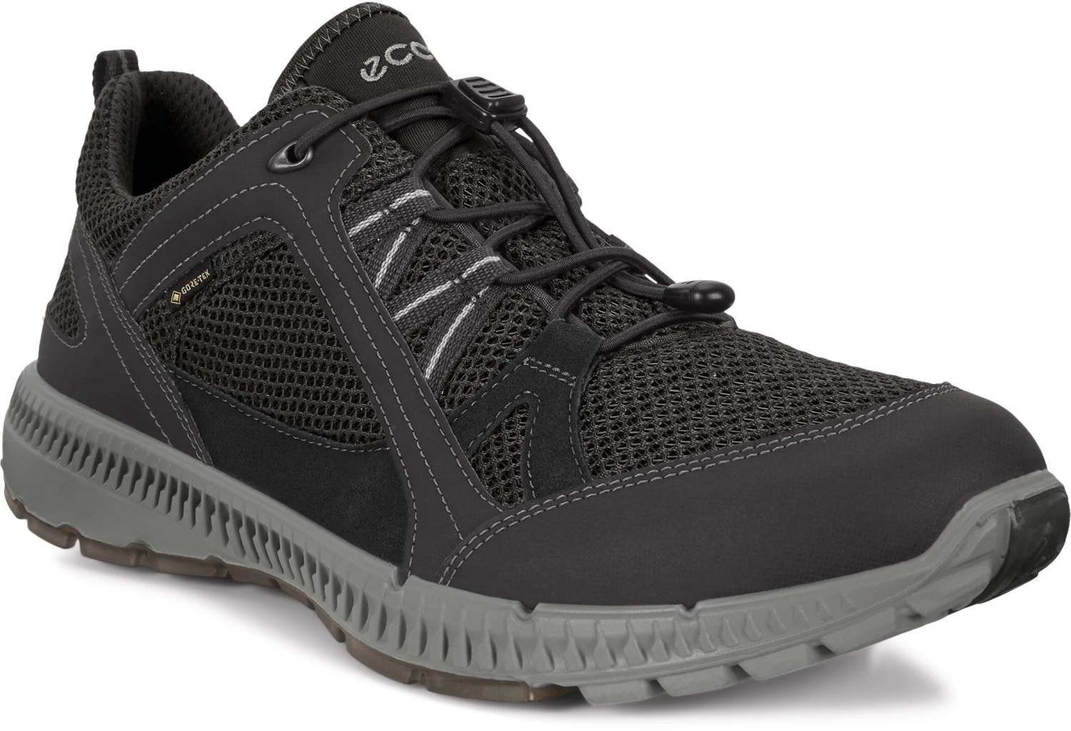 ECCO Terrracruise II Chaussures basses Homme, noir 1 ECCO Terrracruise II Chaussures basses Homme, noir