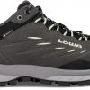 Lowa Delago GTX Chaussures basses Femme, gris