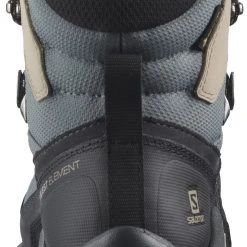 Salomon Quest Element GTX Chaussures Femme, beige/noir -Chaussures Soldes Boutique salomon quest element gtx shoes women ebony rainy day stormy weather 4